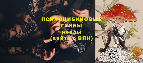 гидра Аркадак