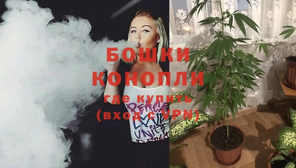 PSILOCYBIN Зарайск