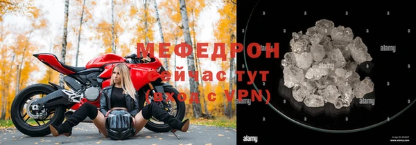 сатива Арсеньев